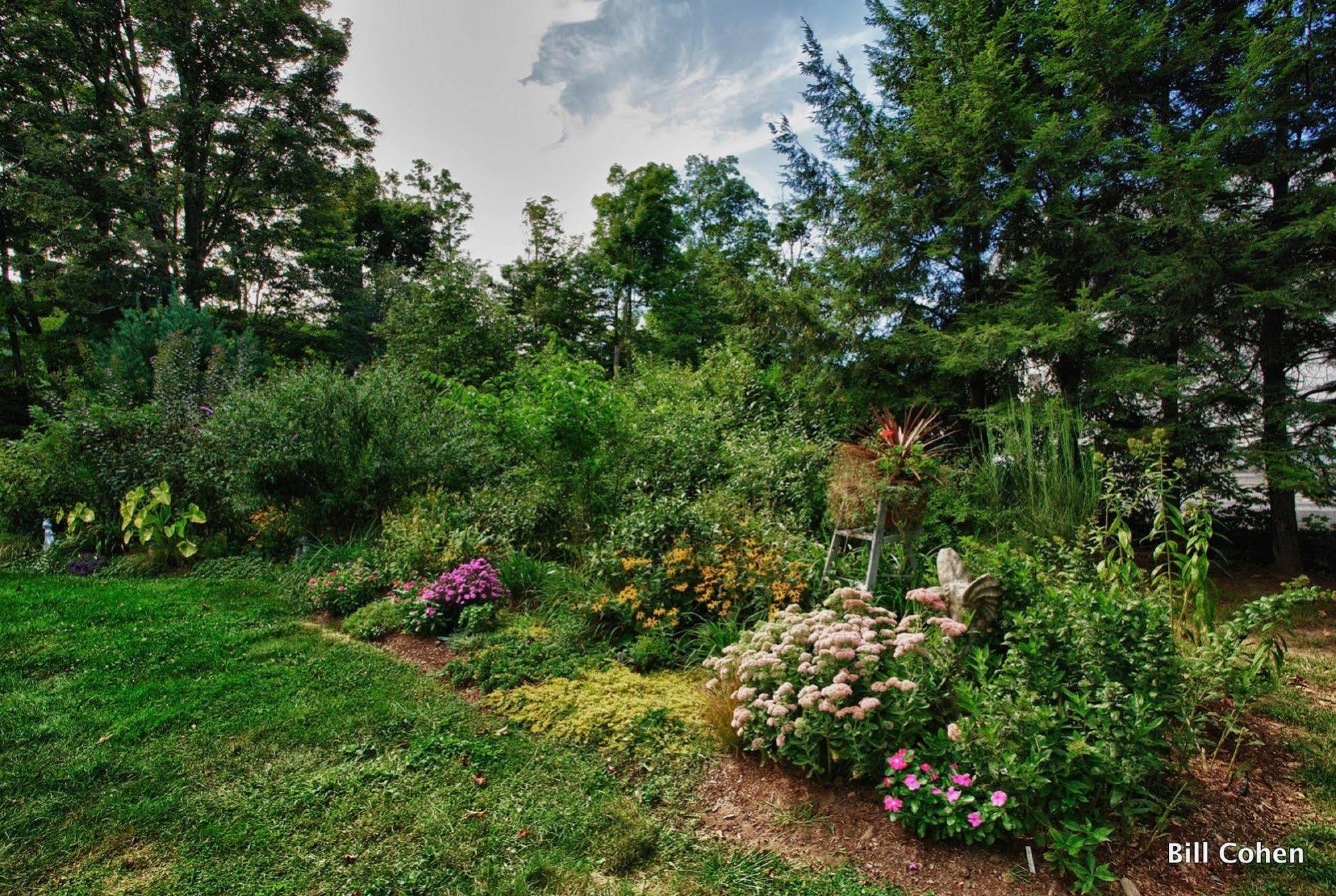 Bed and Breakfast Harrington House Milford Exterior foto